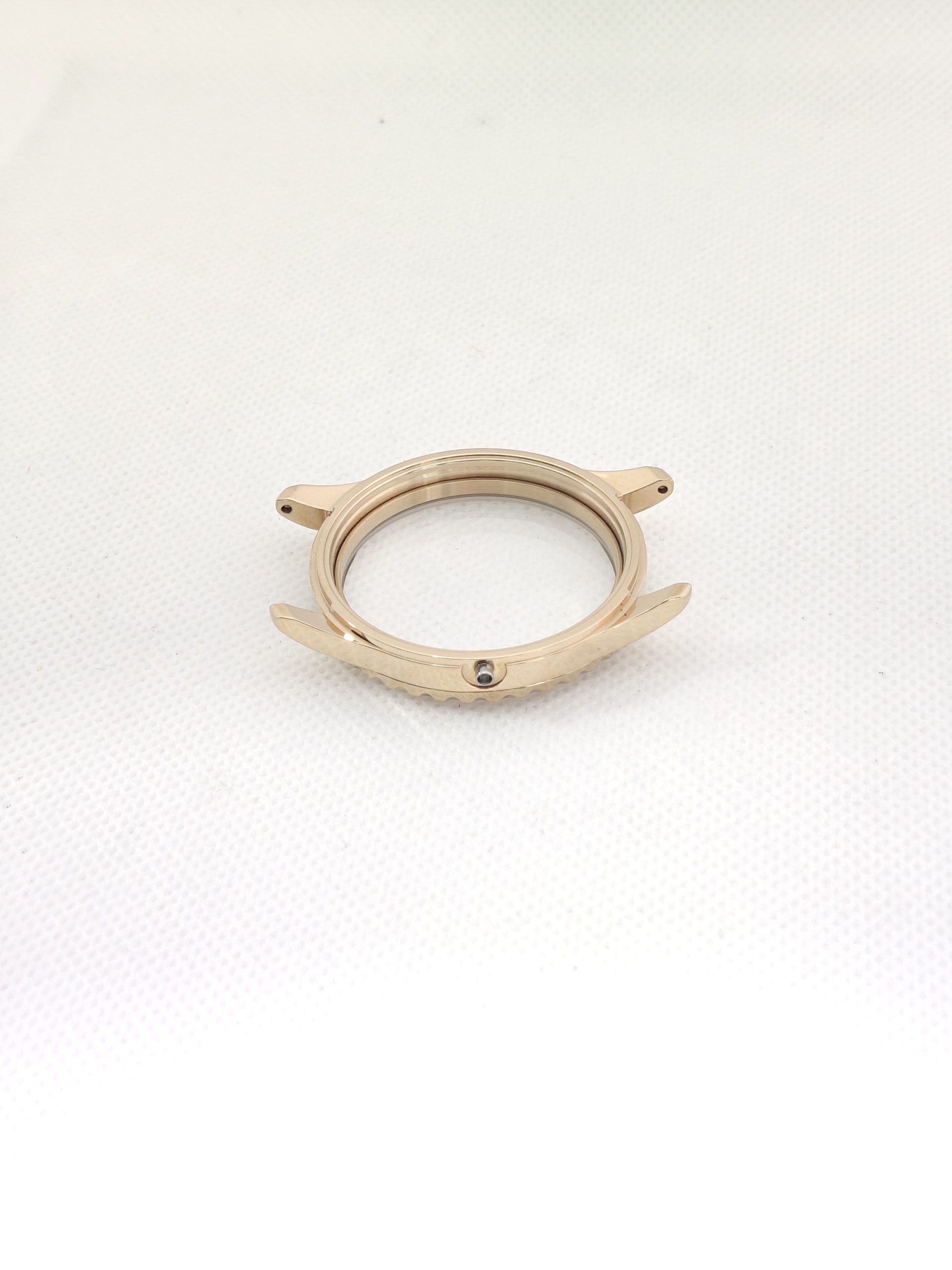 High-end Luxury Watch OEM Service - Stainless Steel Watch Case